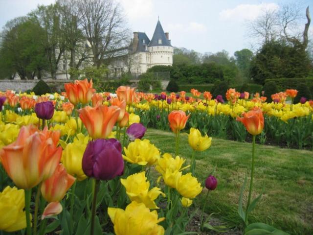 Le Refuge De Normandie Avec Spa Et Cheminee Mesnieres-en-Bray Екстериор снимка